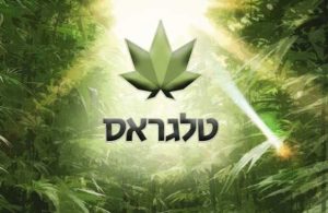 כיוונים טלגראס