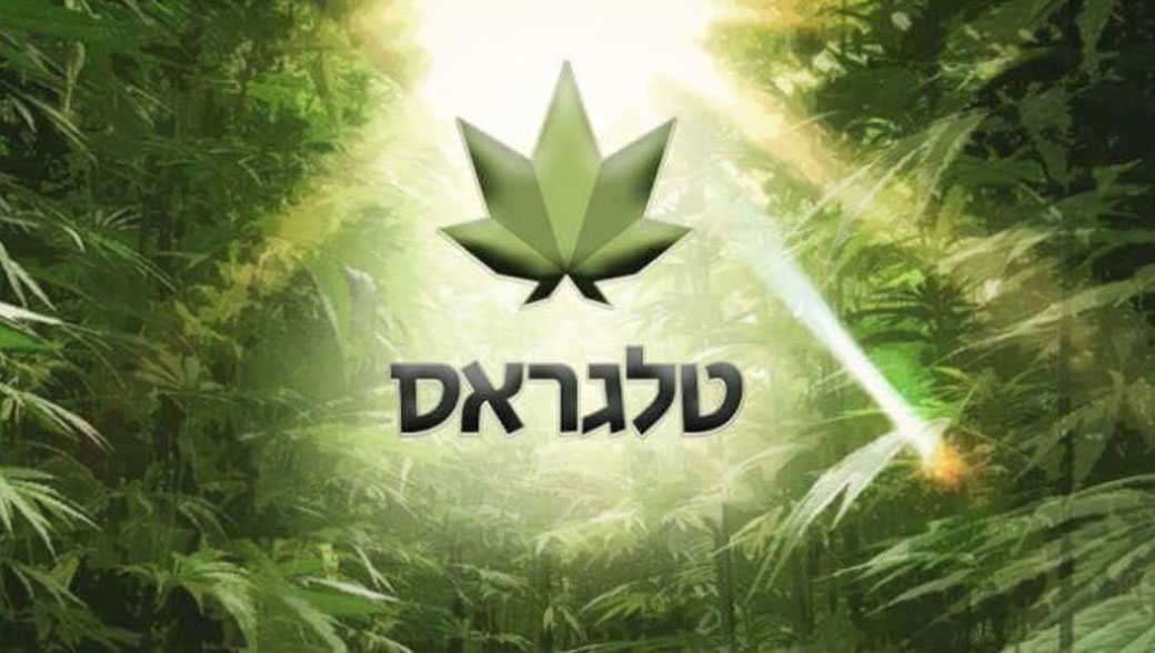 כיוונים טלגראס